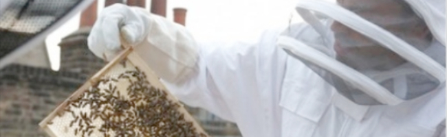 London Beekeepers' Association